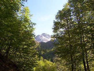 Immagine da inserire